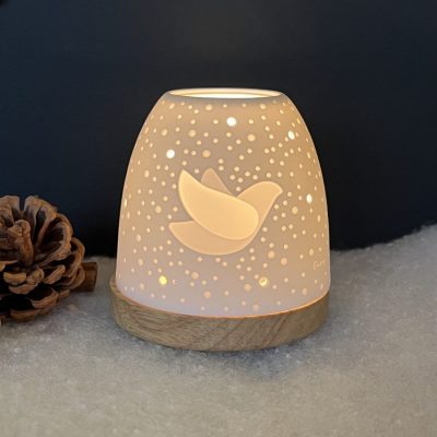 photophore igloo colombe