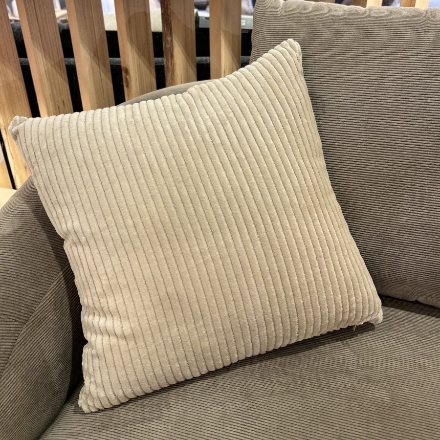 Coussin Velours Beige